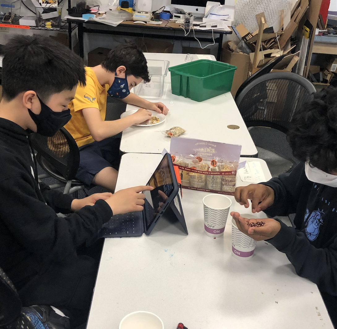 Bergen Science Challenge 2020-2021