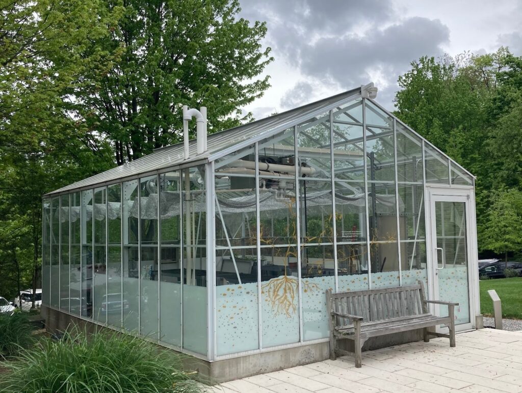 Greenhouse
