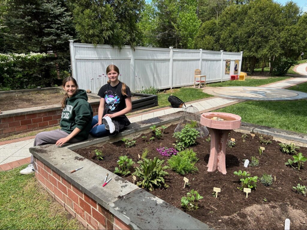 garden with people