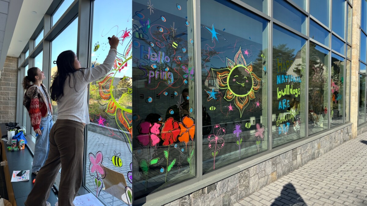 Art in Action Paints Windows for Bulldogs Are Beautiful Day
